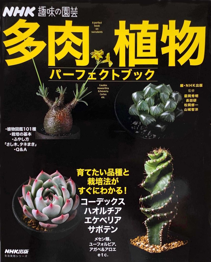 多肉植物パーフェクトブック

この一冊で 多肉植物の基本は完璧!

エケべリア、コーデックス、ハオルチア、サボテン、リトープスetc.…それぞれの品種選び、育て方がわかる多肉植物本の決定版。多彩な魅力溢れる多肉植物図鑑をはじめ、小さな株を大きく育てる方法や、さし木・タネまきなど増やし方も詳しく紹介。丁寧なQ&Aで悩みも解消!